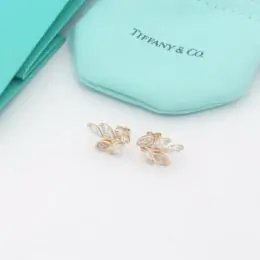 tiffany boucles doreilles pour femme s_1213161